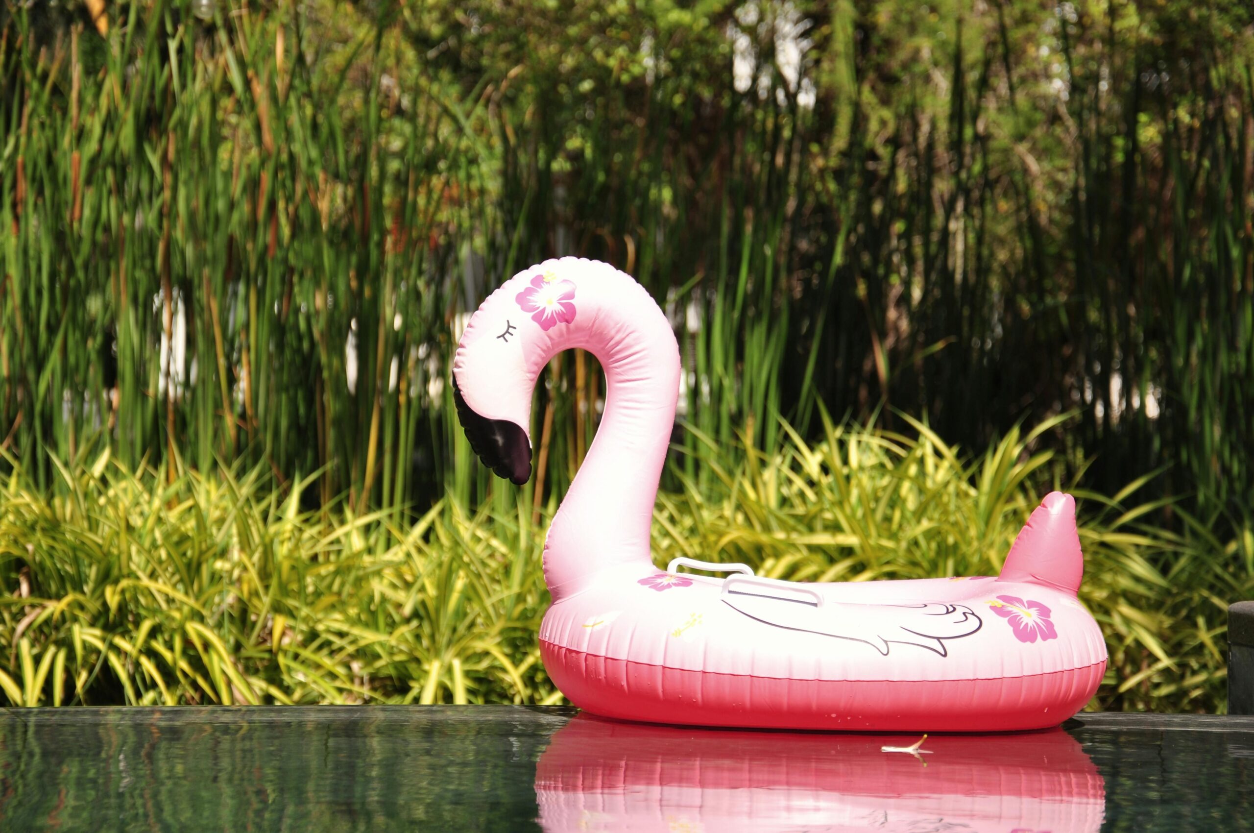 Les 10 meilleurs Swim run swimrun